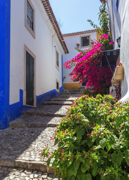 Historic Portuguese village of Obidos and narrow streets with cobblestone.