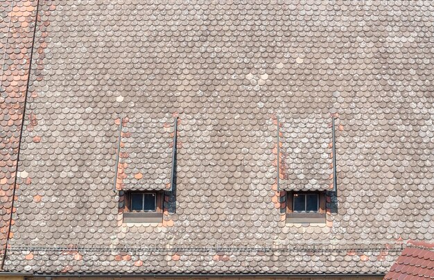 historic roof detail