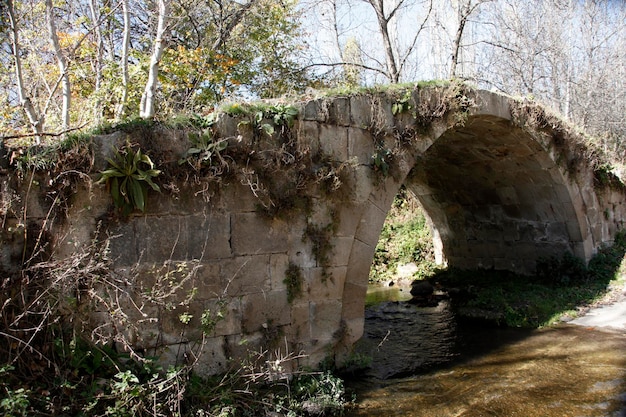 Historic stone bridge in the forest