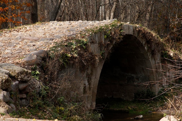 Historic stone bridge in the forest