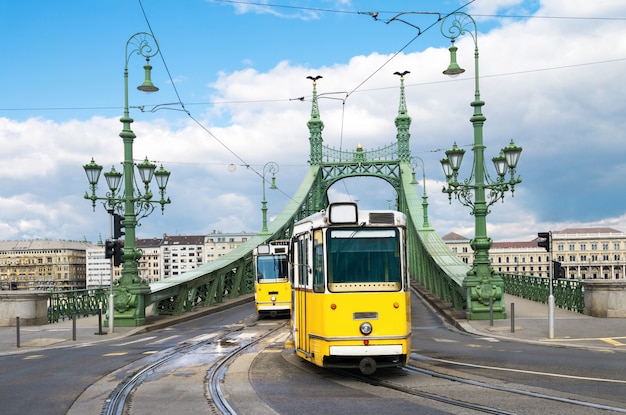 Historic trams on Freedom Bridge in Budapest, Hungary