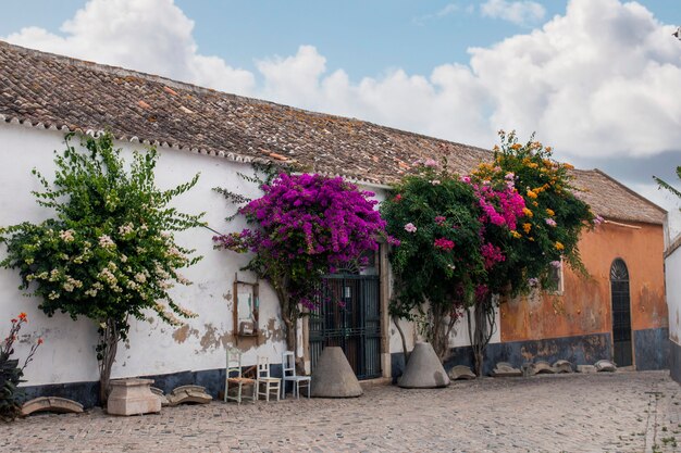 Historical entry in downtown of Faro city, Portugal.