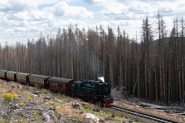 Foto treno a vapore storico nelle montagne dell'harz