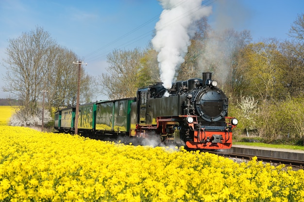 Historical steam train on island Ruegen in spring