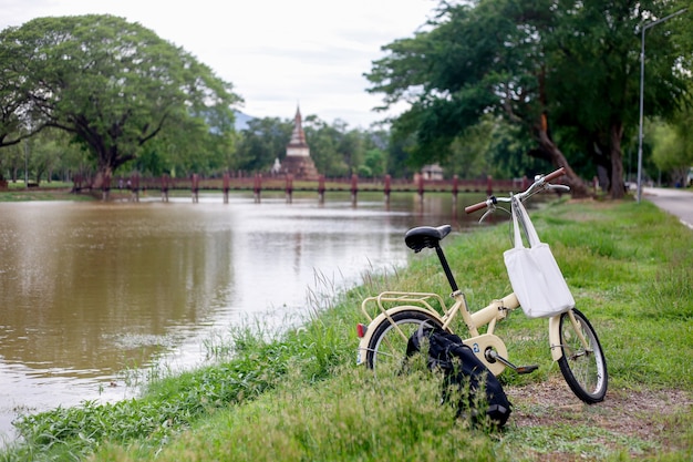 写真 歴史的な旅行