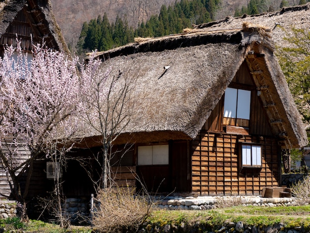 Historisch dorp van shirakawa-ga in de lente, Japan