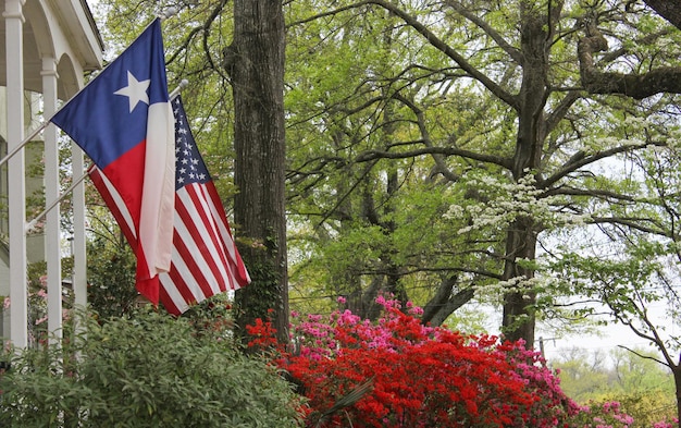 Historisch huis met Texas en Amerikaanse vlaggen Lente