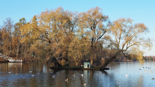 Historisch monument Herfstpark meren en bomen StaatsmuseumReserve Gatchina