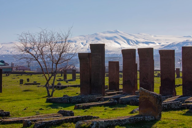 Ahlat Selcuk 묘지의 역사는 1000년 전으로 거슬러 올라갑니다.