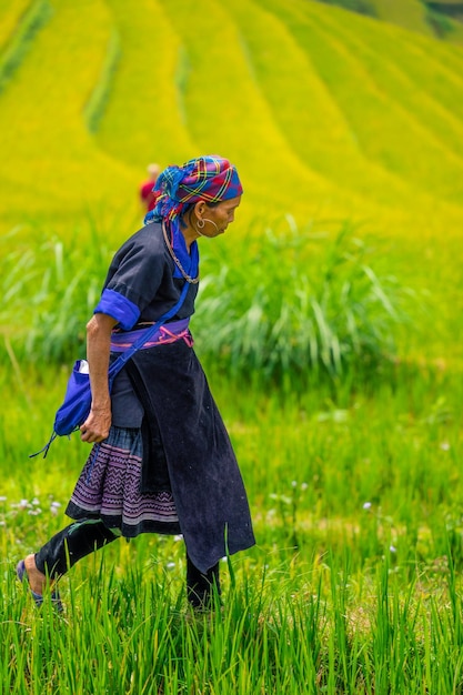 Hmong ethnic minority people in mu cang chai yen bai mu cang chai is a district famous for many terraced rice fields north of vietnam