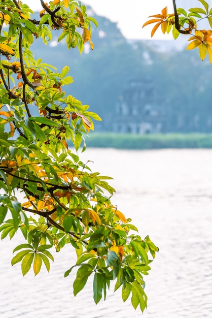 Hoan kiem lake ho guom or sword lake in the center of hanoi in the fog in the morning hoan kiem lake is a famous tourist place in hanoi travel and landscape concept selective focus