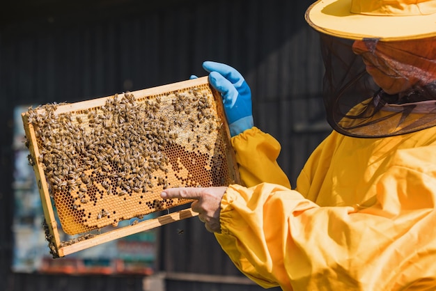 Hobby beekeeper holding a honey frame with brood and honeycomb portrait