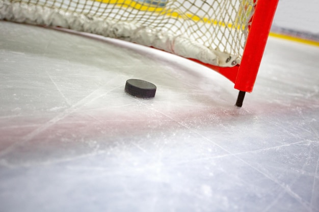 Hockey Net with Puck in Goal