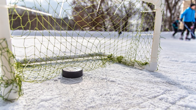 Hockey puck in the goal net close-up