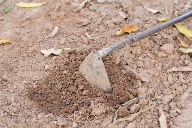 Hoe in the garden