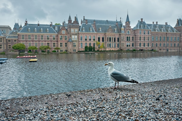 Hofvijver lake and Binnenhof The Hague