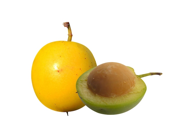 돼지 플럼 (Ximenia americana) 돼지 프럼 과일 또는 나무는 먹을 수 있는 과일 및 식품 원천입니다.
