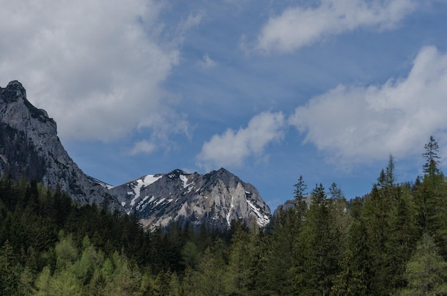 Hoge berg prachtig bos