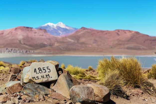 Hoge besneeuwde bergen in Bolivia