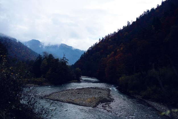 Hoge bos bergen herfst rivier prachtig landschap