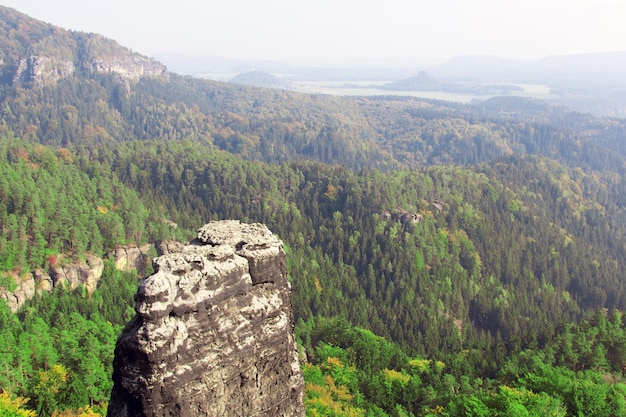 Hoge enkele rots op een achtergrond van bergen en bossen Toned