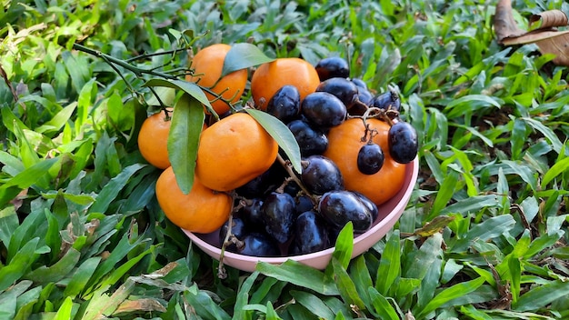 Hoge hoek, citrusvruchten en druiven op groene grasachtergrond. gezond fruit 04