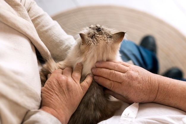 Foto hoge hoek ouderen met kat