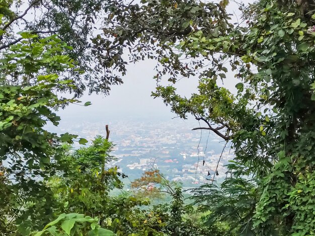 Hoge hoek van Chiang Mai, Thailand in afbeeldingsframe van de boom op uitzichtpunt op Doi Suthep.