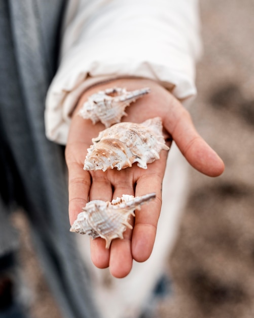 Hoge hoek van vrouw met schelpen in haar hand