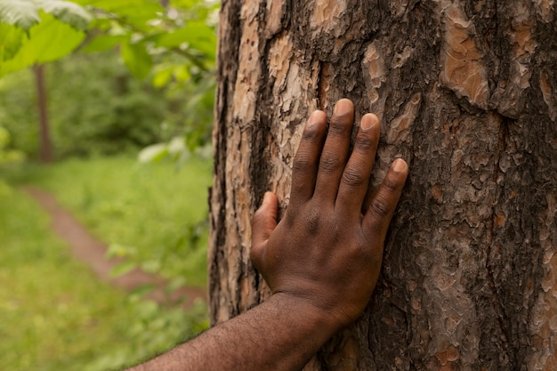 Hoge hoek volwassene die hand op boom legt