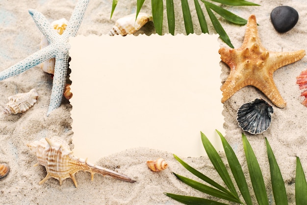 Foto hoge hoekkaart op zand naast schaaldieren