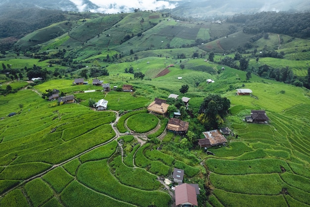 Hoge hoekmening Groene rijstvelden op terrassen in Chiangmai