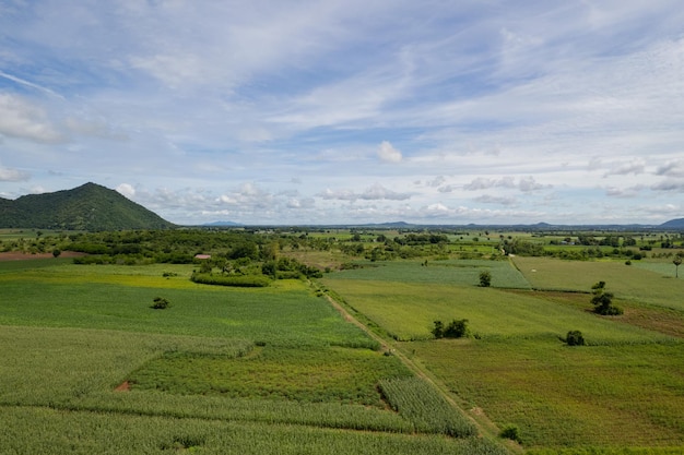 Hoge hoekmening van boerderij kweekplanten mooi landschap