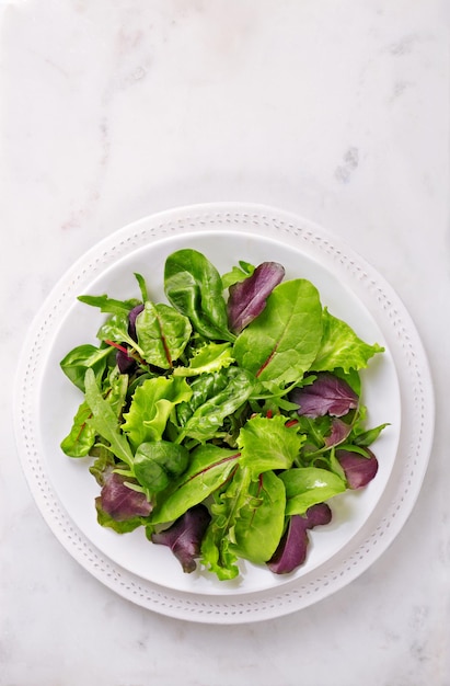 Hoge hoekmening van salade in plaat