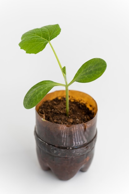 Foto hoge hoekplant in plastic fles