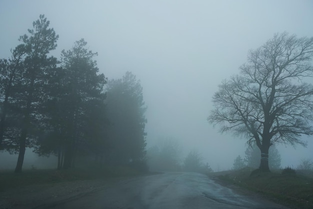 Hoge mist in de bergen. Beperkt zicht. Slechte weersomstandigheden voor de chauffeur.