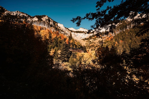 Hoge Tatra met kleurrijke herfstbomen Wandelen van zelene meer naar cottage plesnivec in de buurt van Belianske Tatry berg Slowakije