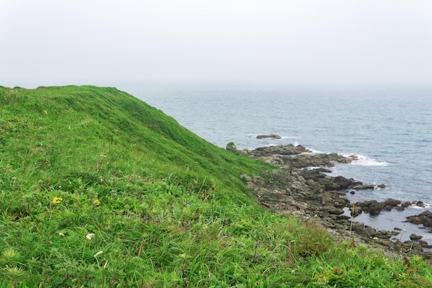 Hoge verlaten met gras begroeide kust boven een koude mistige zee