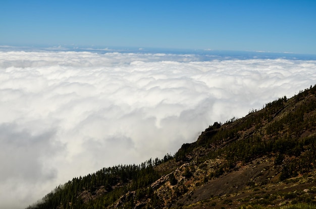 Hoge wolken boven het dennenbos op het eiland Tenerife