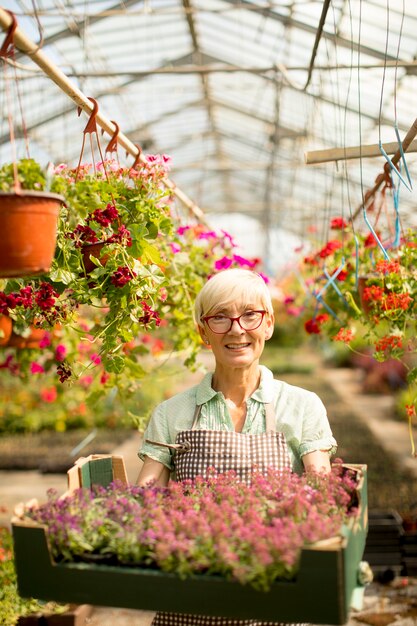 Hoger de mandhoogtepunt van de vrouwenholding van bloemen