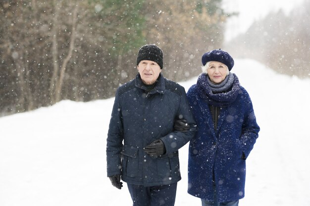 Hoger paar dat buiten in de winter loopt