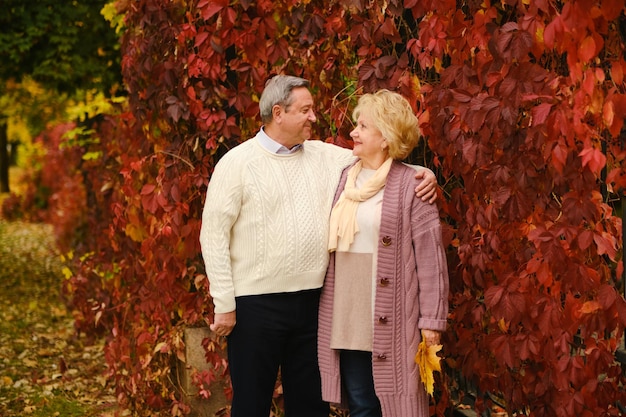 Hoger paar in het park op een de herfstdag