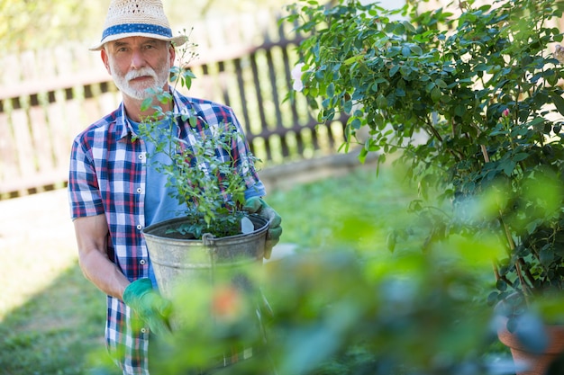 Hogere mens die zich met potteninstallatie bevindt in tuin