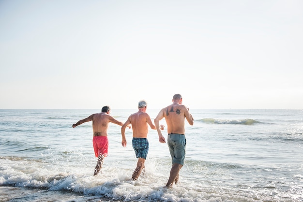 Hogere vrienden die pret hebben op het strand