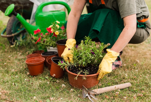 Hogere vrouw die de bloemen geeft