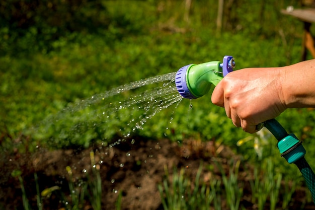 Hogere vrouw het water geven tuin. Hand van tuinman die de slang voor het water geven met water en nevel op het zonlicht houden.