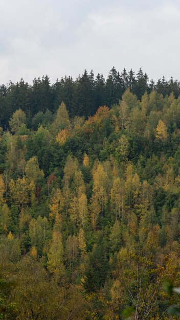 Hohes venn hoge venen hautes fagnes