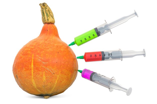 Hokkaido pumpkin with a syringes full of chemicals Genetic Food Modification concept 3D rendering