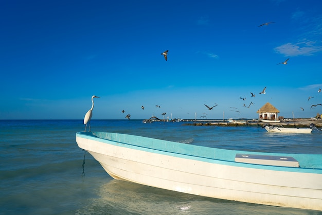 Holbox 섬 헤론 조류와 해변에서 보트