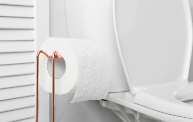 Holder with paper roll near toilet bowl in bathroom